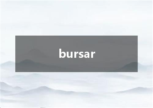 bursar是什么意思