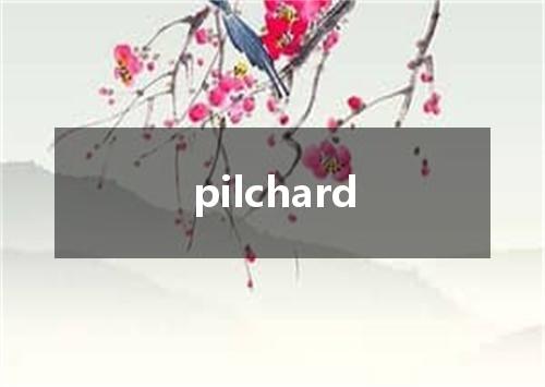 pilchard是什么意思