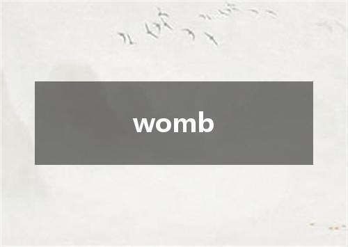 womb是什么意思