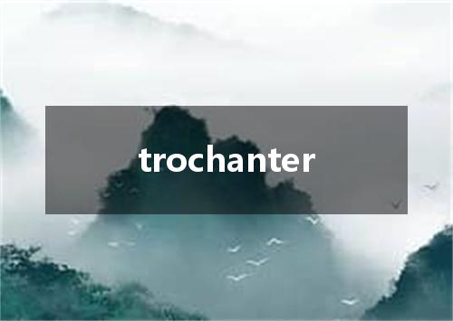 trochanter是什么意思