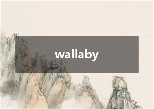 wallaby是什么意思