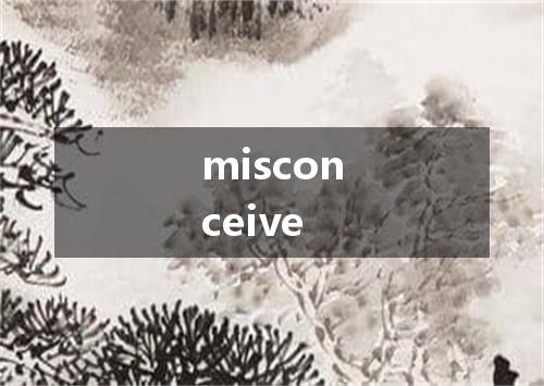 misconceive是什么意思
