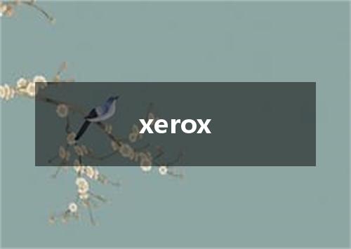 xerox是什么意思