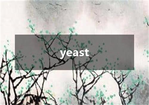 yeast是什么意思