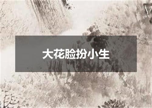 大花脸扮小生