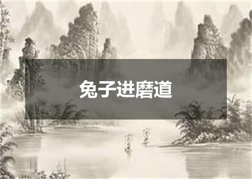 兔子进磨道