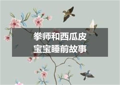 拳师和西瓜皮宝宝睡前故事